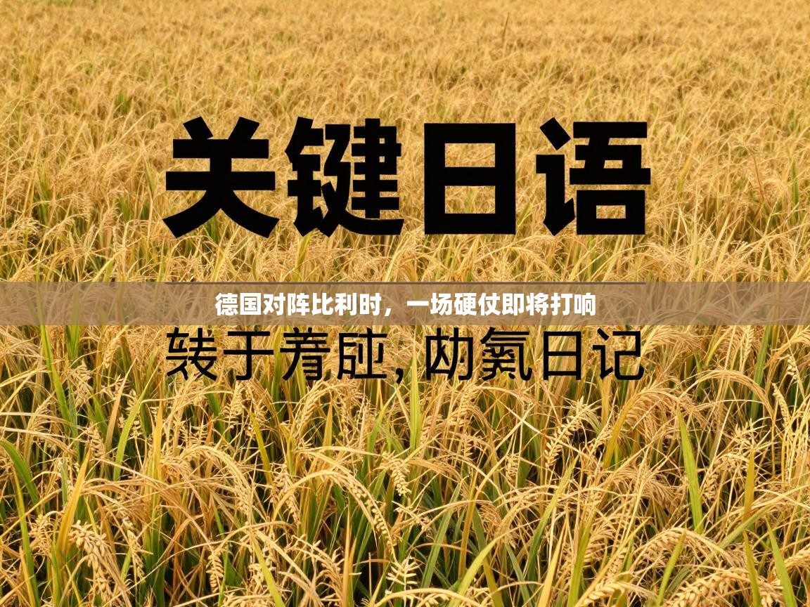 德国对阵比利时，一场硬仗即将打响