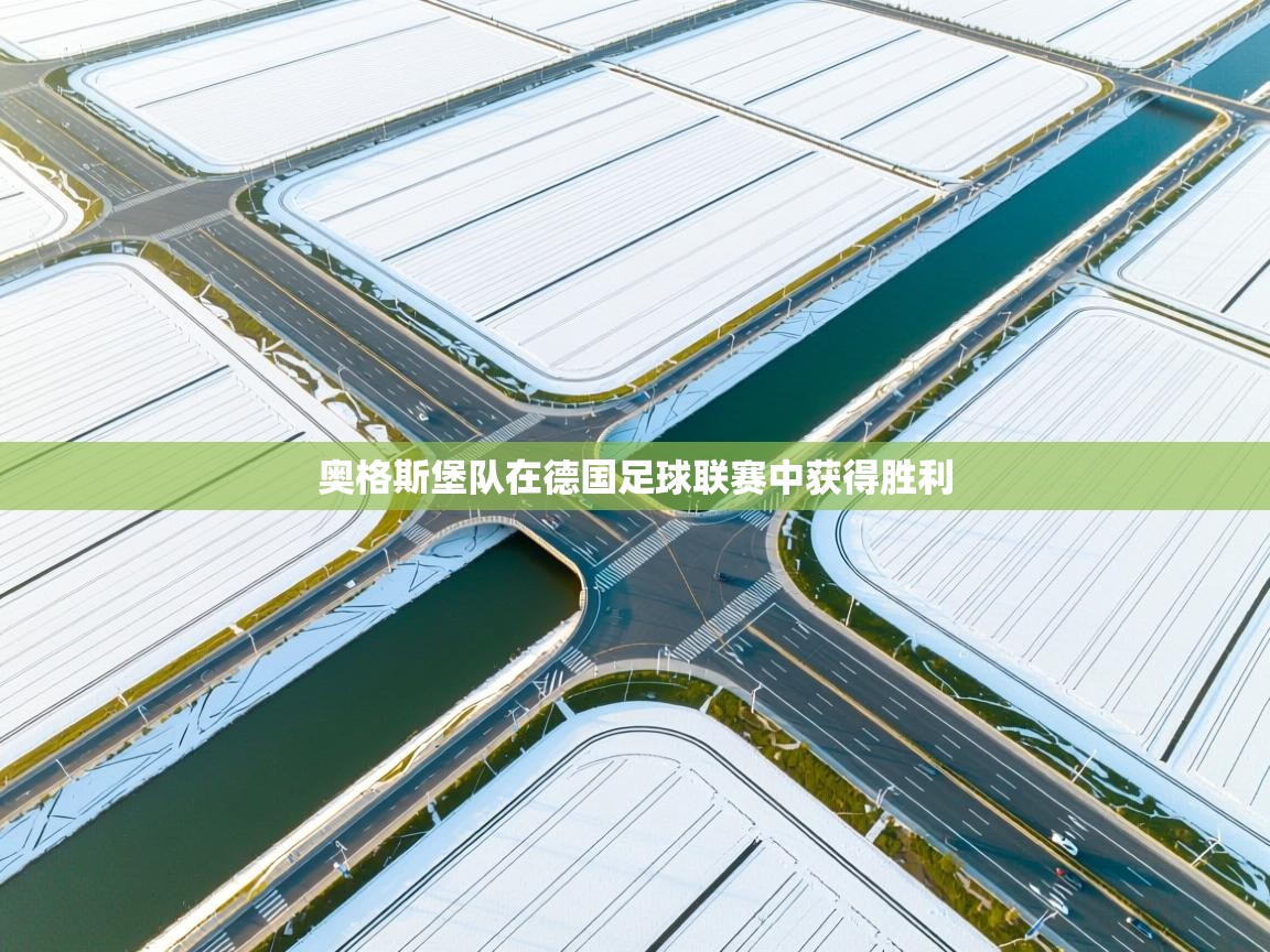 奥格斯堡队在德国足球联赛中获得胜利