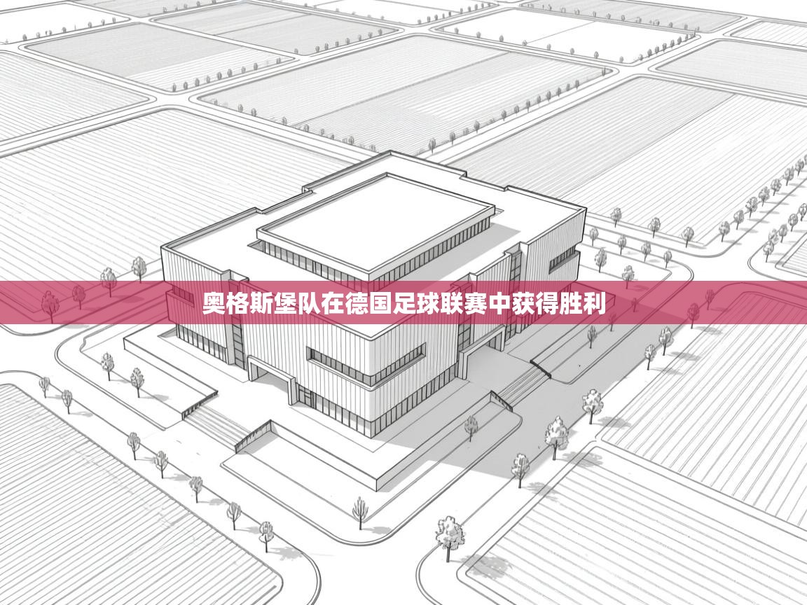 奥格斯堡队在德国足球联赛中获得胜利