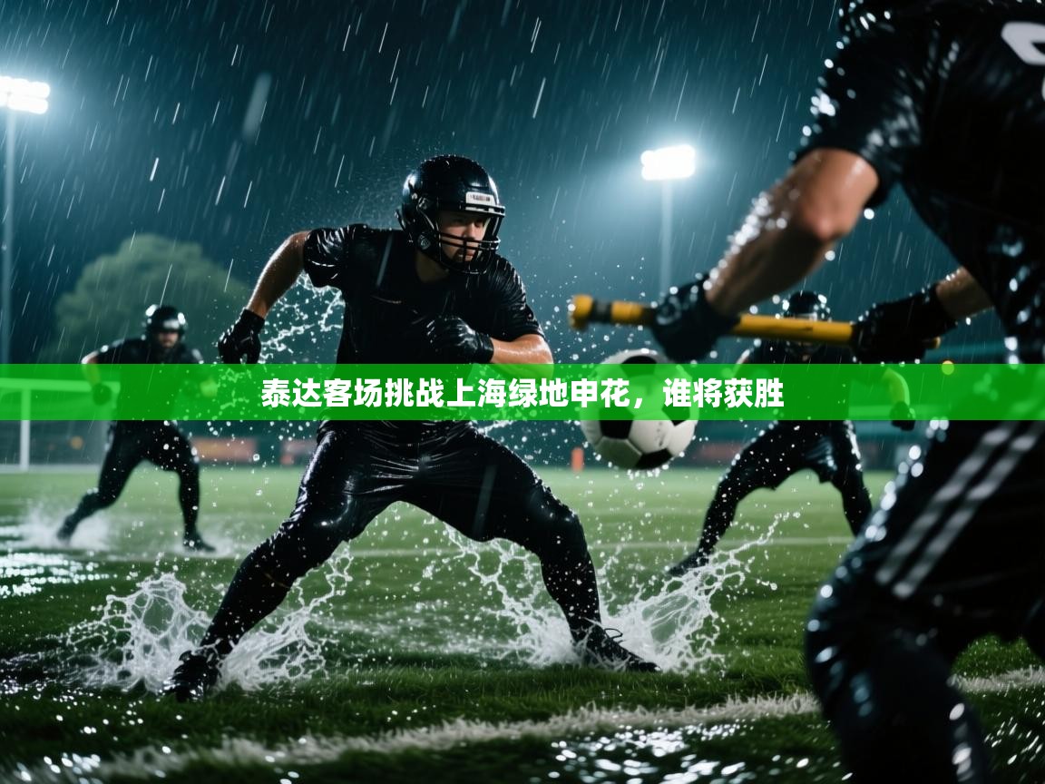 泰达客场挑战上海绿地申花，谁将获胜  第1张