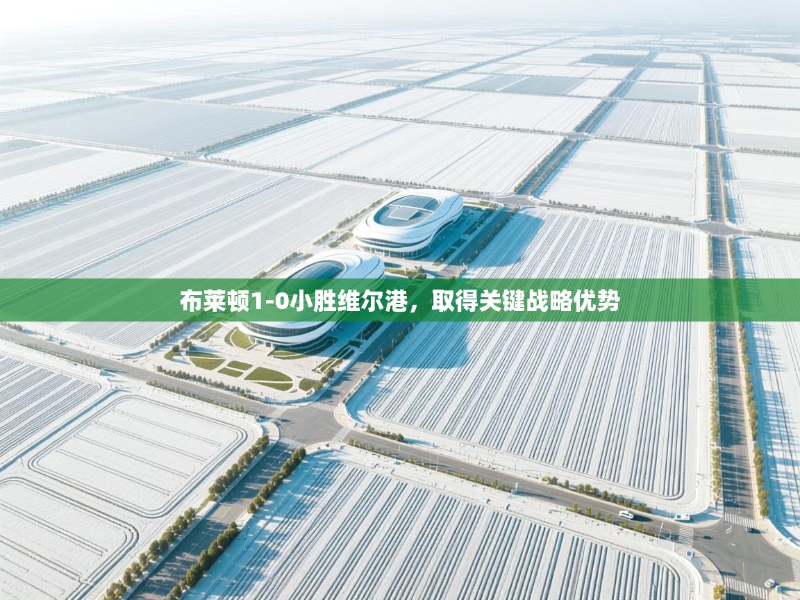 布莱顿1-0小胜维尔港，取得关键战略优势