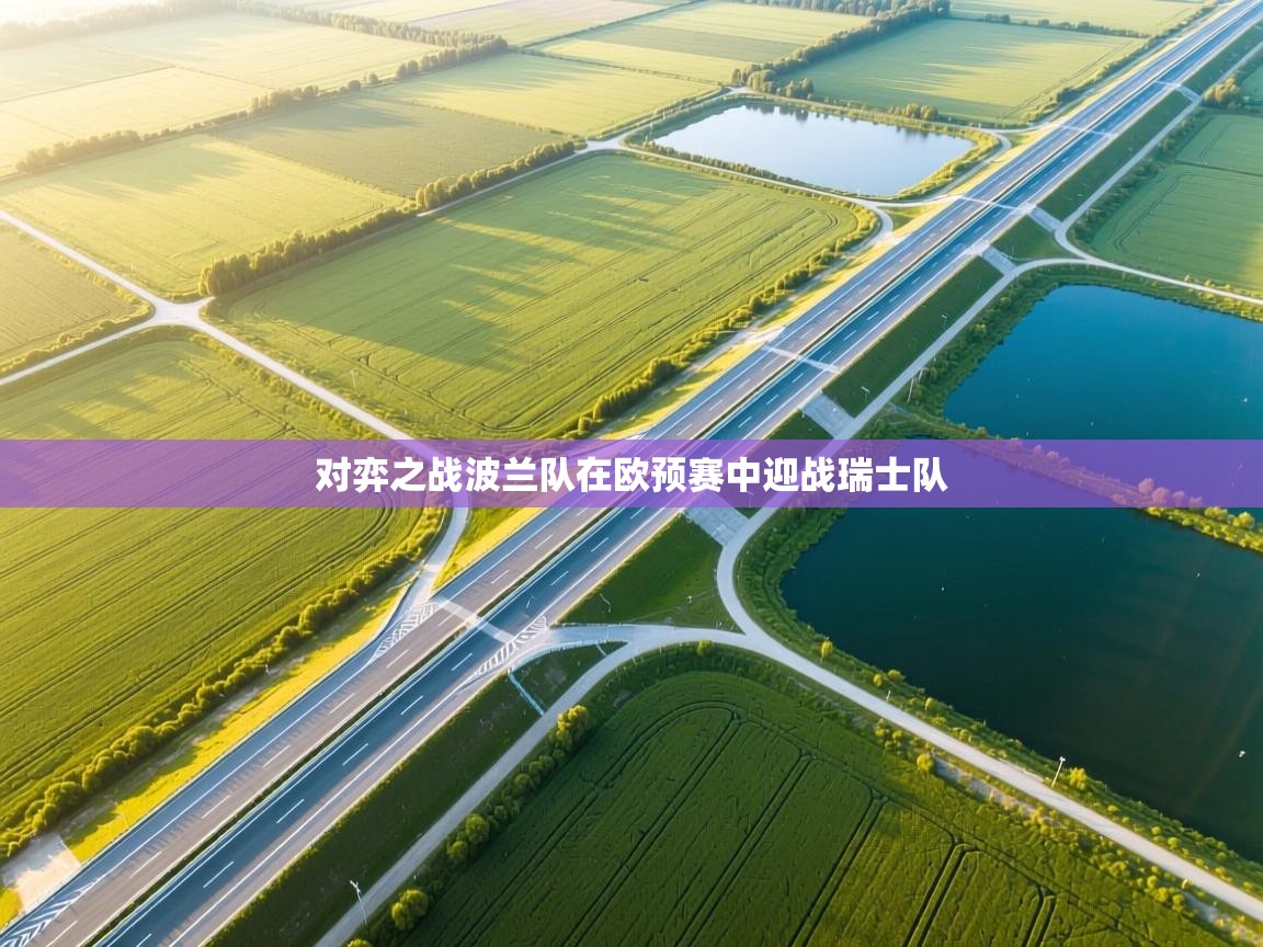 对弈之战波兰队在欧预赛中迎战瑞士队