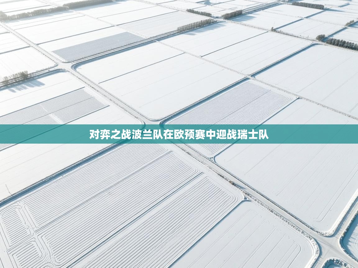 对弈之战波兰队在欧预赛中迎战瑞士队