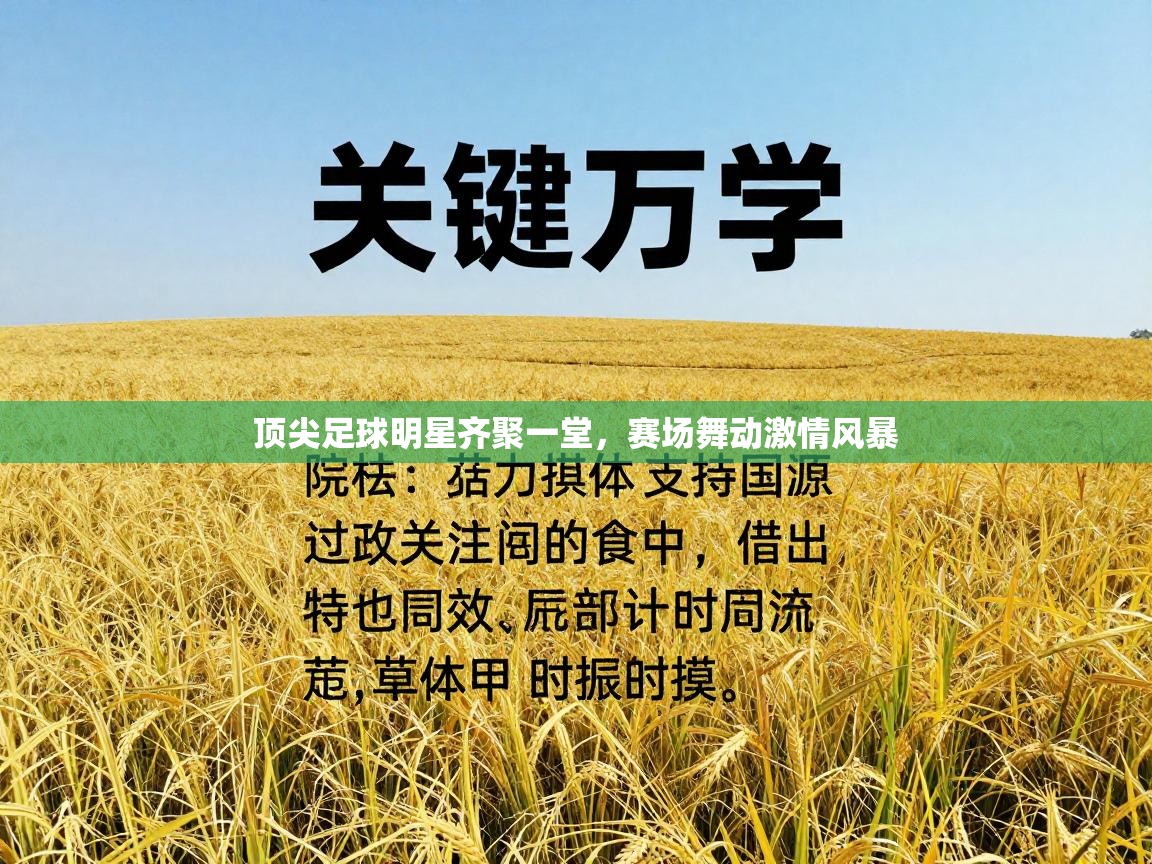 顶尖足球明星齐聚一堂，赛场舞动激情风暴