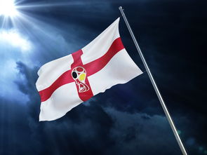 aoa体育官网登录-英格兰国家队将对阵爱沙尼亚国家队争夺胜利，英格兰国家队将对阵爱沙尼亚国家队争夺胜利的球员